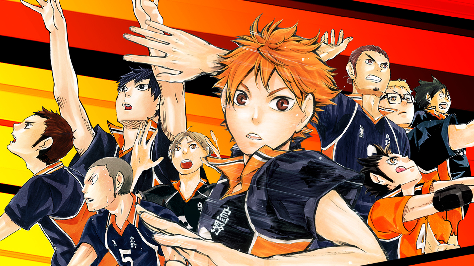 Karasuno High Haikyuu Anime 12 Wallpaper HD