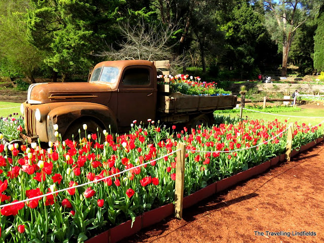 Araluen Botanic Park