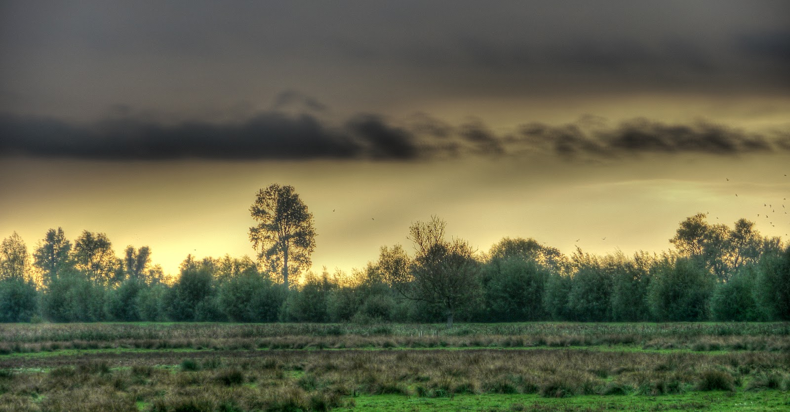 P1200224_5_6_tonemapped.JPG