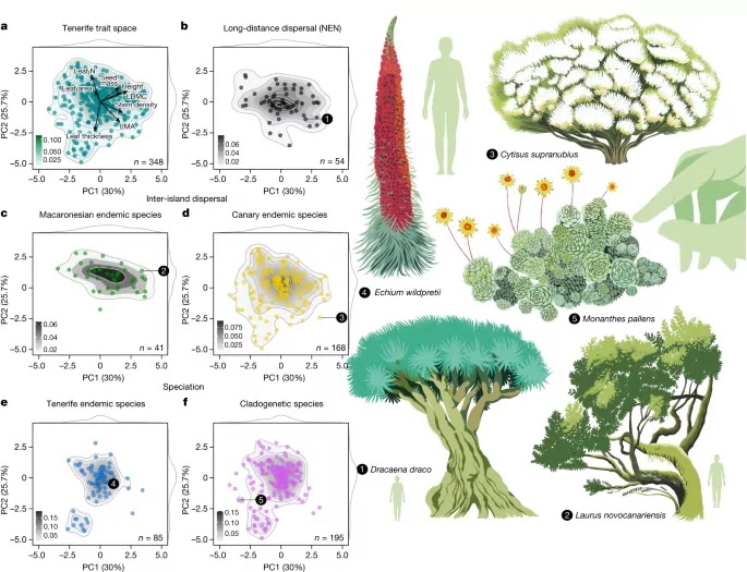 Colonization Influences Worldwide Distribution of Plant Specimens