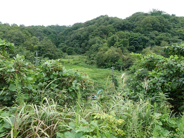 鳥取県道1号溝口伯太線