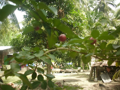 AMIE'S LITTLE KITCHEN: Sehari Beraya di Hutan Melintang 