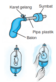 percobaan sistem organ