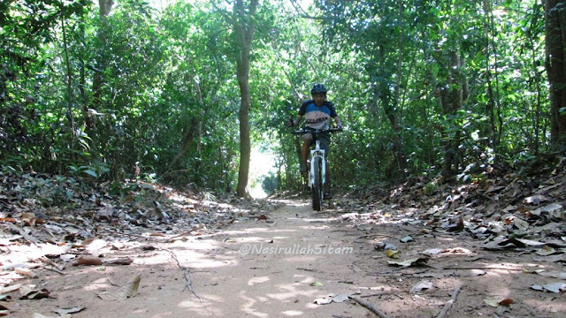 Melewati jalan setapak yang teduh