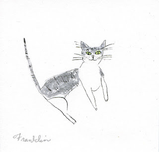 Franklin (when he was a tiny kitten) by Vivienne Strauss