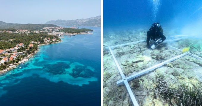 6,000-Year-Old Island Settlement Found Off The Croatian Coast   