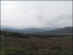 SDC10187