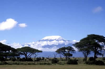 Africa Riding Safari on Tanzania Safari Destination Travel