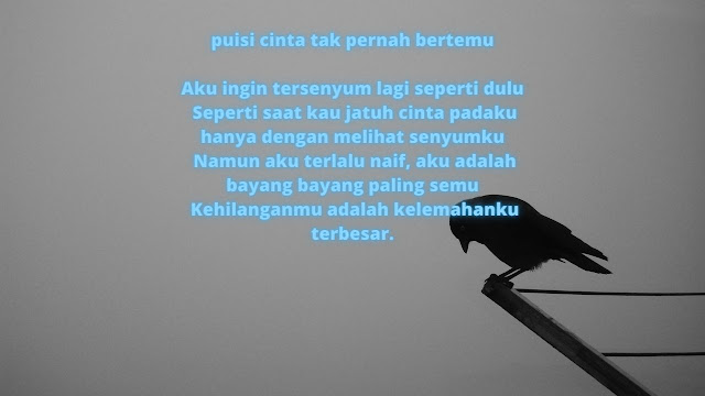 Puisi Cinta Tidak Berbalas