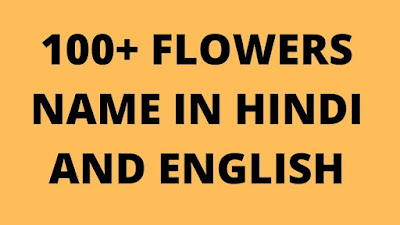 FLOWERS NAME IN HINDI AND ENGLISH