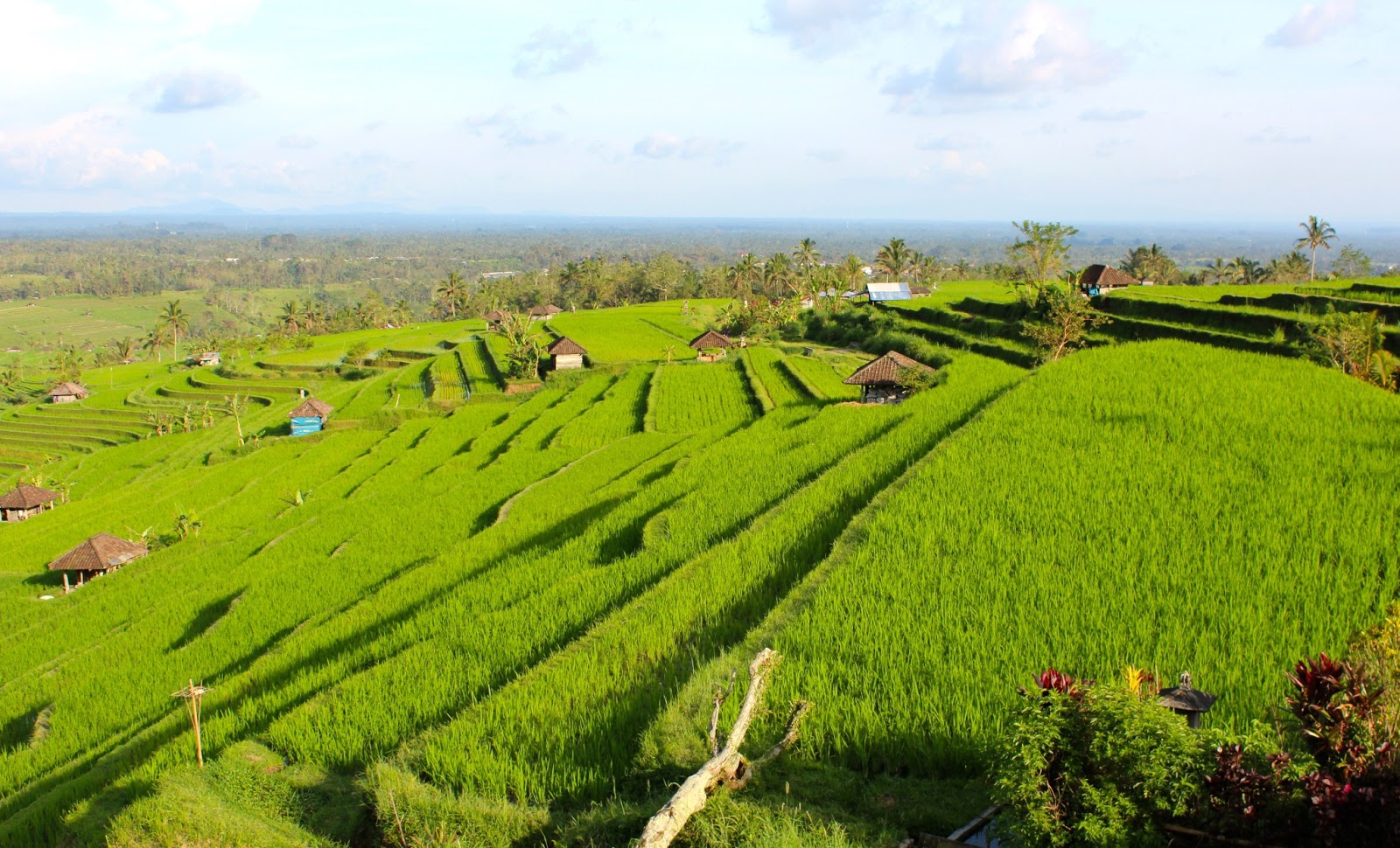 Liburan Di Bali Bukan Hanya Tentang Pantai