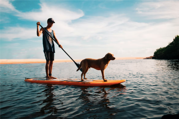 5 Benefits of Stand-up Paddle Boarding