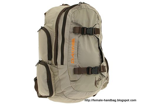 Female-handbag:handbag-1219012