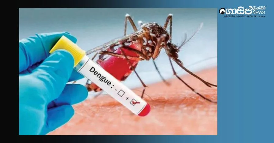 dengue-test-issue