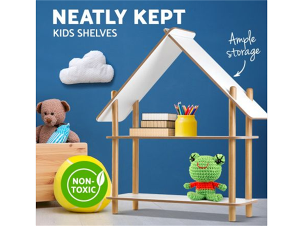 Neatly-Kept-Kids-Shelves