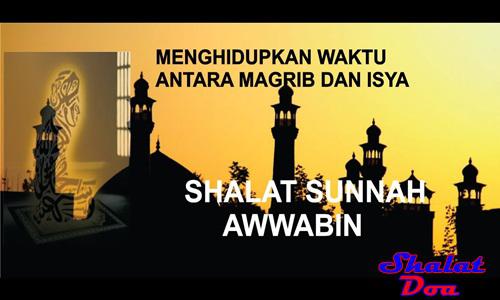 Pengertian Dan Tata Cara Shalat Sunnah Awwabin Lengkap