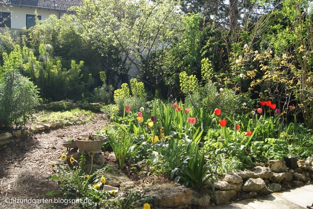 Garten im April