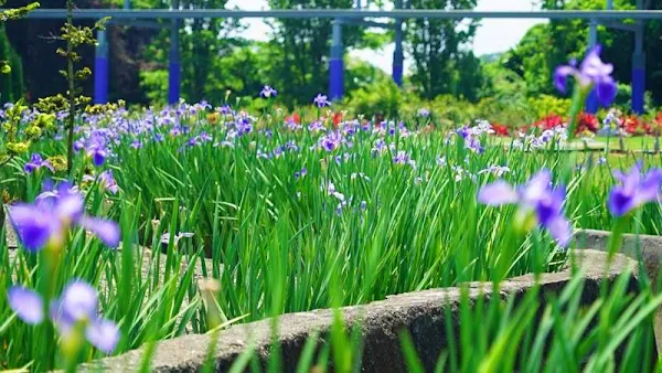 埔心鄉自然葬生命紀念園區　 墓園公園化揮別陰森森