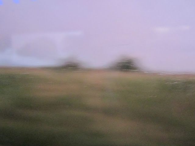 Blurry view from a coach window. Brown, green and grey. Two trees.
