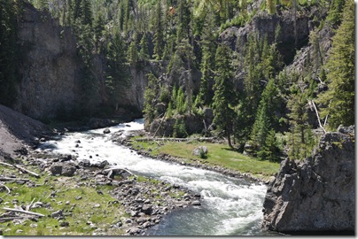 Yellowstone 2009 008
