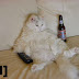 Crazy Drinker Cat