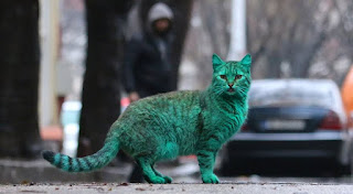 gato verde