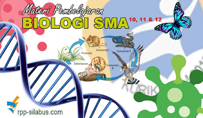 Materi Pembelajaran Biologi SMA Kelas 10, 11 dan 12 Kurikulum 2013 terbaru