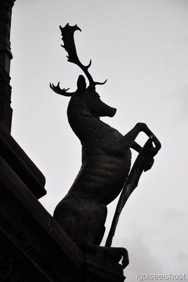 Walking down the Royal Mile in Edinburgh