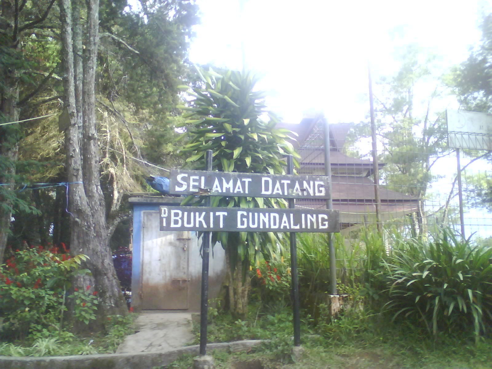 Gundaling Bukit di Berastagi - Payung Nari