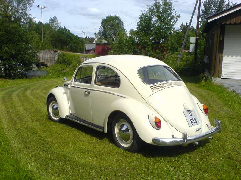  my parents bought a brand new car a Volkswagen Beetle