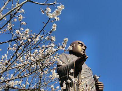 妙本寺の梅