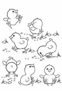 Cute Baby Chicken On Yard Coloring Pages Animals