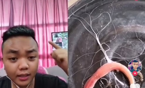 Trend Binatang Mirip Cacing Keluarkan Cairan Mirip Akar