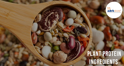 Plant Protein Ingredients Industry Analysis 2023