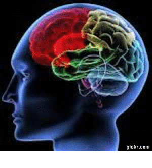 CREATE NEW PATHWAYS in YOUR MIND !