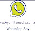 WhatsApp Spy: Download WhatsApp spy for free - Ayomite media
