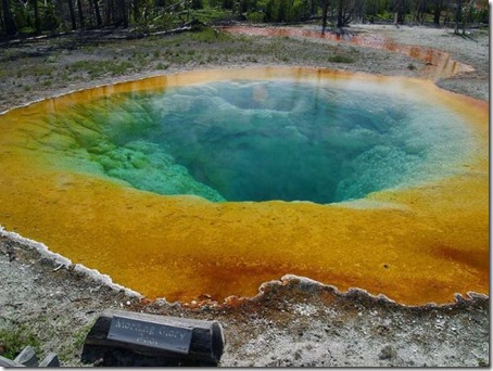 Morning Glory  Pool