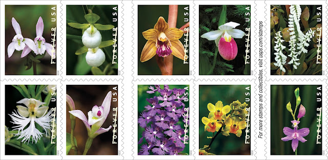 USPS Wild Orchid stamp issue due out on 21st February 2020