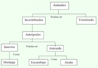 Ejemplo de mapa conceptual