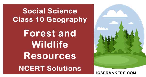 NCERT Solutions Class 10 Social Science Geography Chapter 2 Forest and Wildlife Resources
