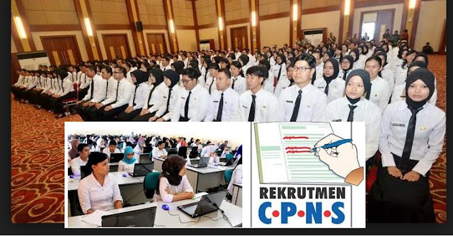 Hasil gambar untuk rekrutmen cpns 2017