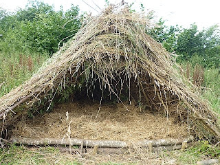 shelter building+spoon carving