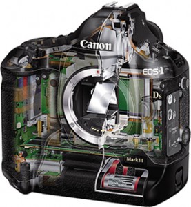 Canon SLR Digital Camera