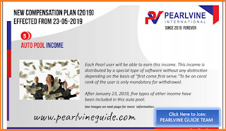 Pearlvine Auto pool Income plan - Updated