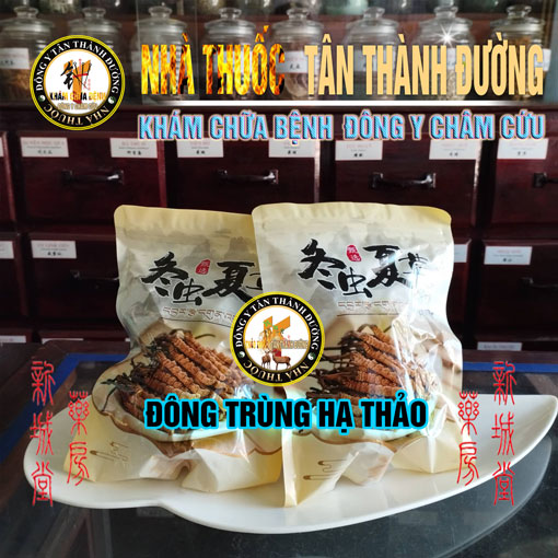 dong-trung-ha-thao