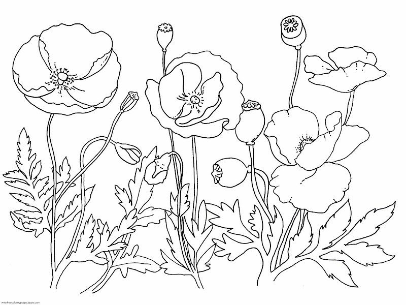 printable oriental coloring pages title=