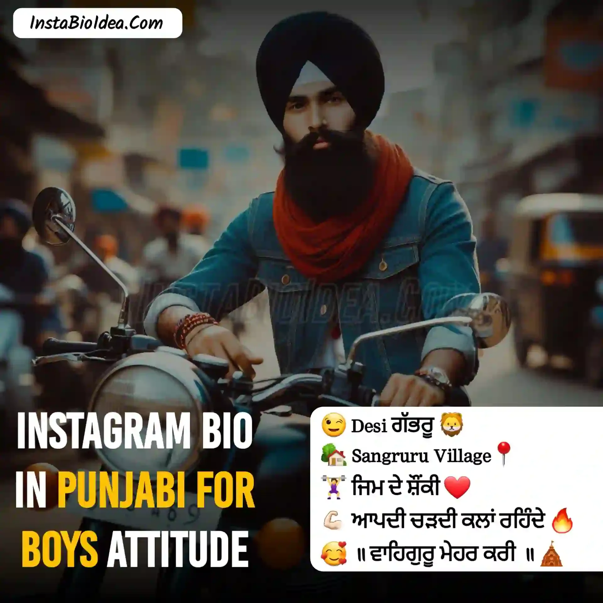 instagram bio in punjabi for boys attitude photo