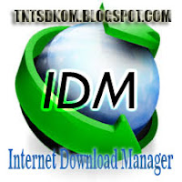 Download Internet Download Manager Version 6.17 Build 7 Final