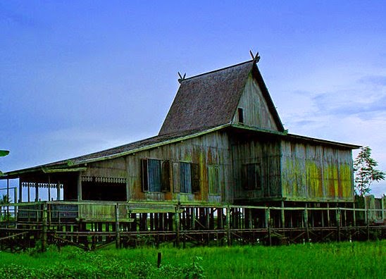  Gambar  Indonesia Rumah  Honai Adat  Provinsi Papua Mewarnai 