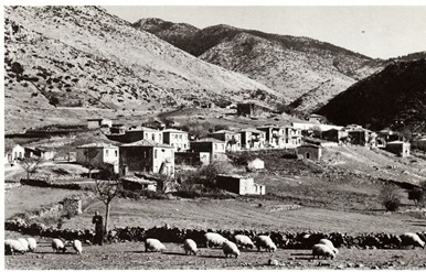 Από νεκροταφείο -  1954 .